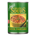 Amy's Organic Lentil Vegetable Soup, 14.5 oz (Case of 12)