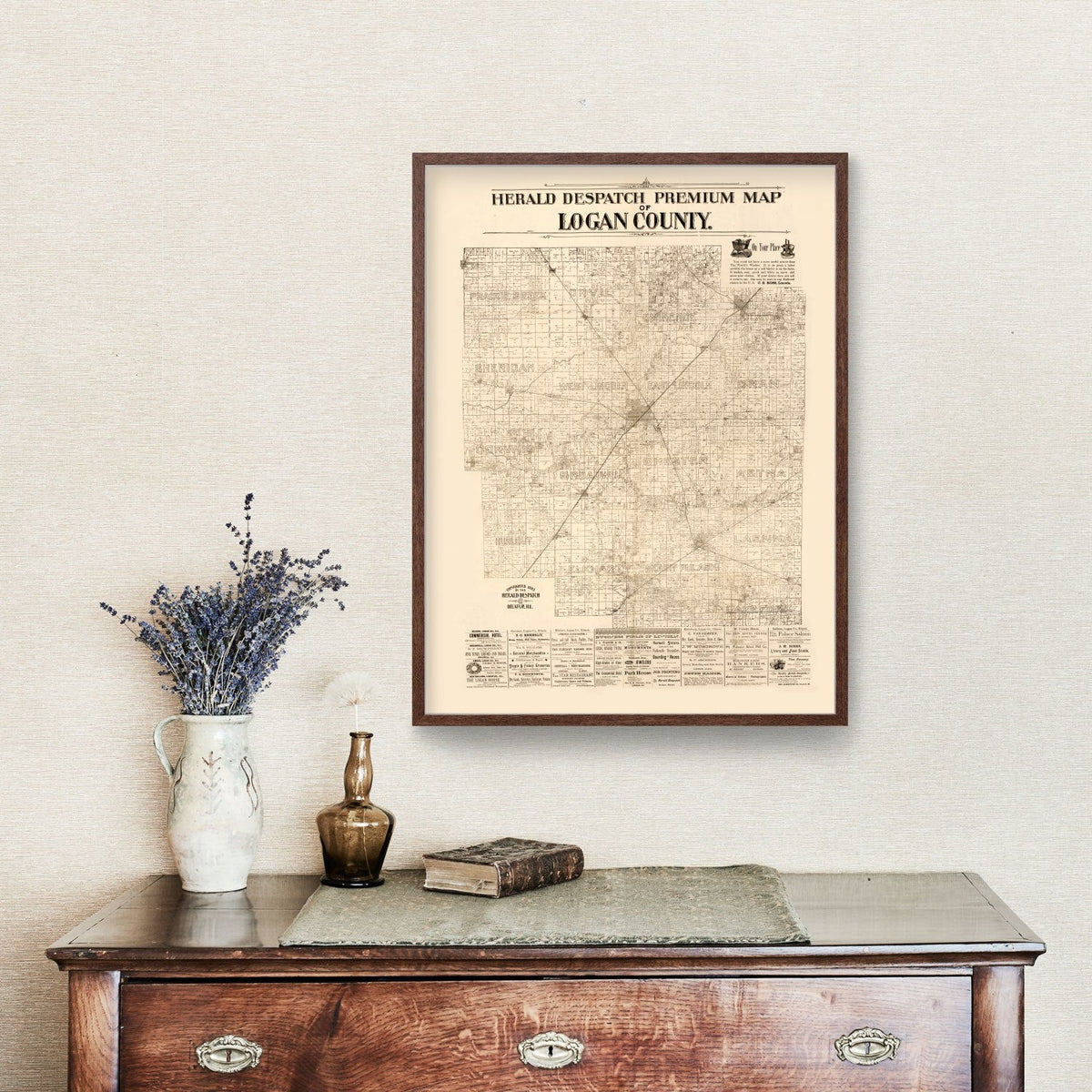 Vintage Map of Logan County, Illinois 1893