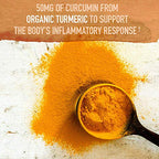 Garden of Life Organics Fermented Organic Turmeric Boost, 4.76 Ounce