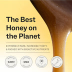 Manukora Raw Manuka Honey MGO 200+ Squeeze Bottle, Case of 6, 12.7 Ounce Bottles