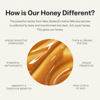Manukora Raw Manuka Honey MGO 200+ Squeeze Bottle, Case of 6, 12.7 Ounce Bottles