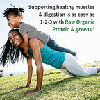 Garden of Life Raw Organic Protein and Greens Chocolate, 21.51 oz