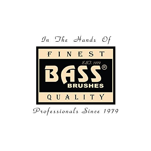 Bass Brushes Acrylic Handle Foot File, 1 Count