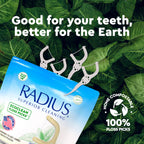RADIUS EcoClean Minty Peppermint Adult Floss Picks, 50 Count