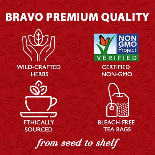 Bravo Tea Chaga Tea, 20 Bags