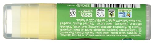 Eco Lips Mongo Kiss Organic Pomegranate Lip Balm Display Counter, Case of 15, 0.25 Ounce