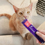 Ark Naturals Lickable Brushless Toothpaste Salmon Dental Treat, Case of 6, 2 Ounce Tubes