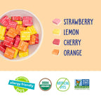 YumEarth Organic Chewys Fruit Flavored Candy Chews, Case of 6, 7.5 Ounce Bags