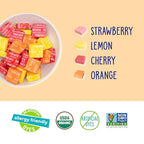 YumEarth Organic Chewys Fruit Flavored Candy Chews, Case of 6, 7.5 Ounce Bags
