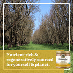 Philosopher Foods Organic Naked Creamy Almond Butter, 6 oz, Case of 6