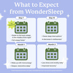 Plant People WonderSleep Elderberry Mushroom Gummies, 60 Count