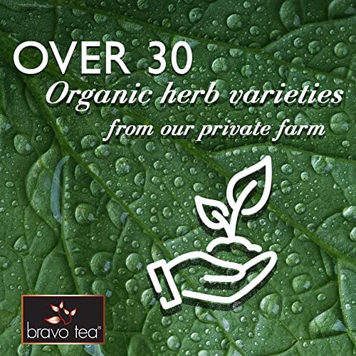 Bravo Tea Chaga Tea, 20 Bags