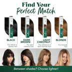 Herbatint Temporary Hair Touch-Up, Blonde, Case of 6, 0.33 Ounce Brushes