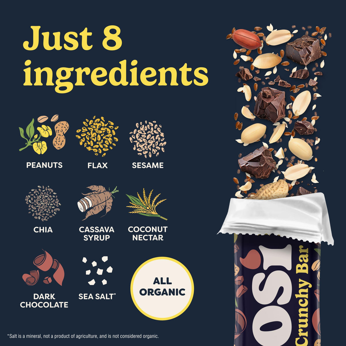 Tosi Organic Peanut Dark Chocolate SuperBites, Case of 12, 1 oz