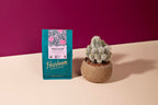 Heirloom Coffee Roasters Organic Bedrock Blend Coffee, Case of 6, 12 oz Each