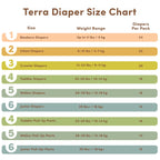 Terra Training Pants Size 4 Toddler, Case of 8, 16 Count Packs