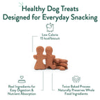 Portland Pet Food Company Gingerbread Biscuit Dog Treats, Case of 6, 5 oz