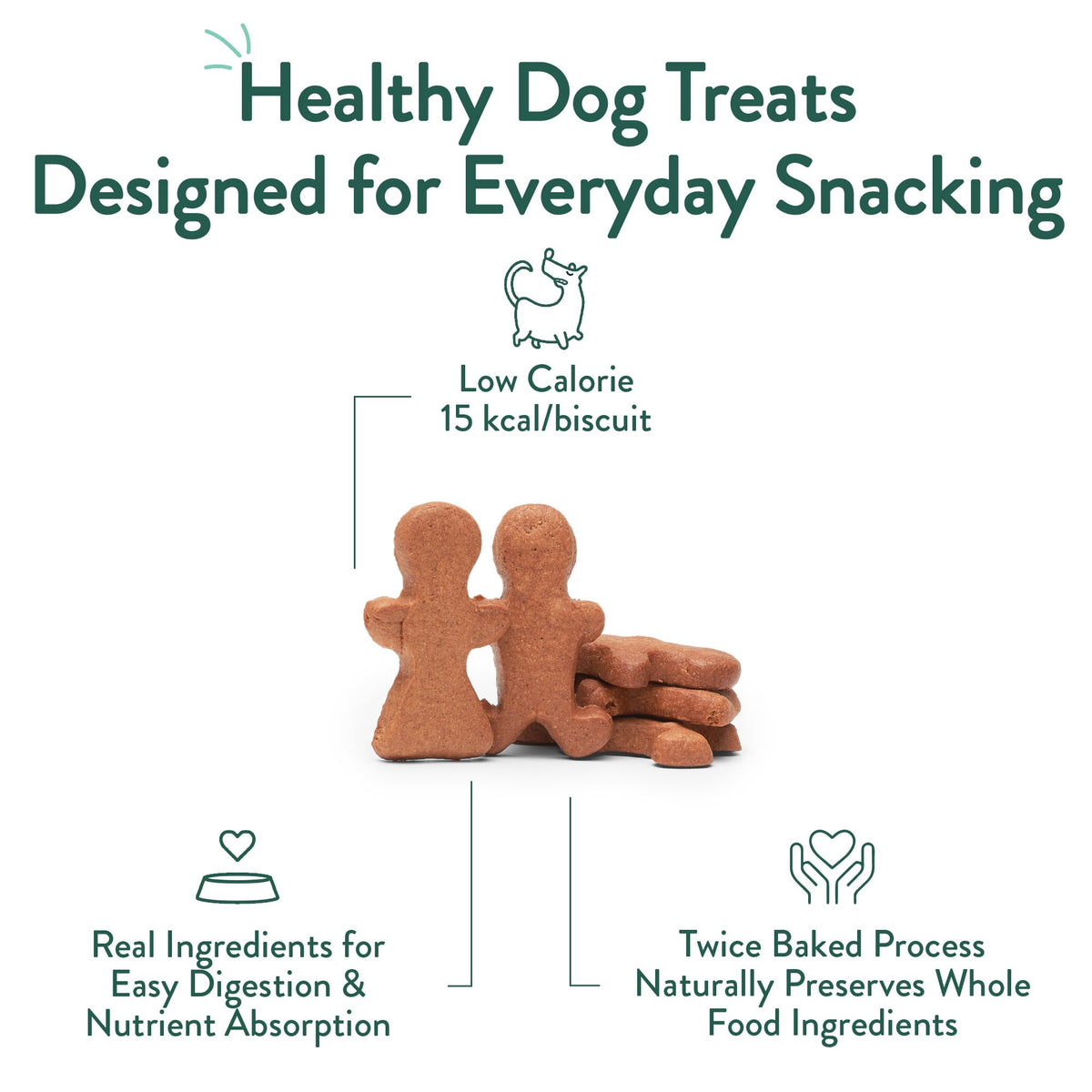 Portland Pet Food Company Gingerbread Biscuit Dog Treats, Case of 6, 5 oz