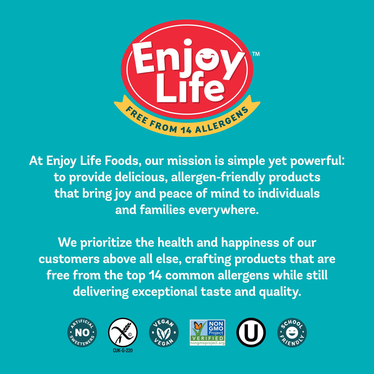 Enjoy Life Semi-Sweet Mega Chocolate Chunks, Case of 12, 9 Ounce Bags
