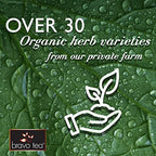 Bravo Tea 6 Mushroom Defense Tea, 20 Bags