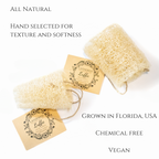 Luffa | Lightly Exfoliating | Body Sponge