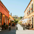 The Tequila y Mezcal Revolution: A History of Mexico's Famous Agave Spirits with Cocktail Recipes and Substitutions for Uncommon Ingredients to Plan Your Party