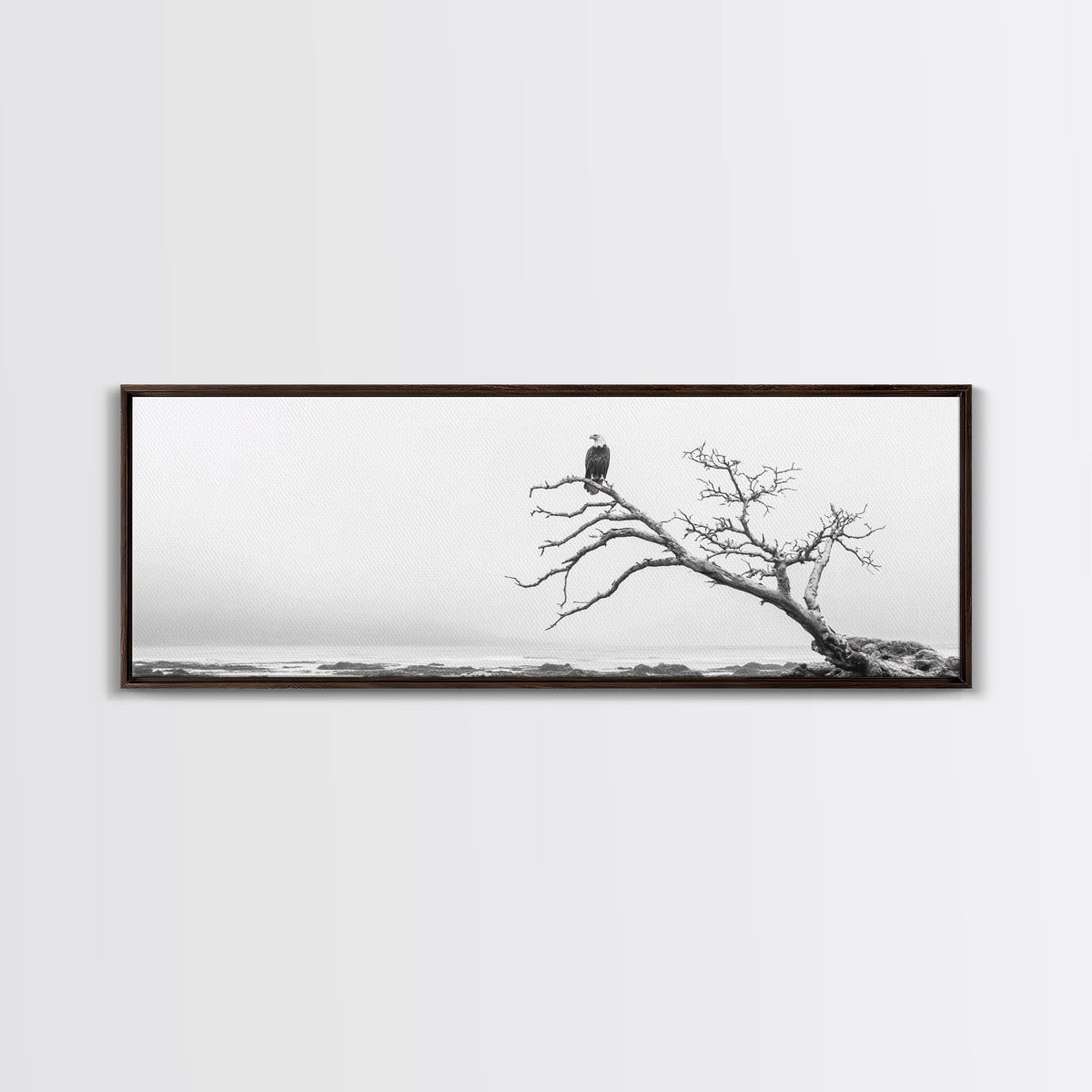Bald Eagle, Tree Perch, Foggy Coast, Framed Canvas Print, Wildlife Photography, Cabin Wall Art, Rustic Minimalist Decor