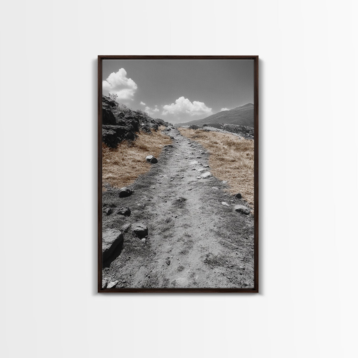 Desert Path, Solitude Trail, Nature Adventure, Canvas Print, Minimalist Landscape Wall Art, Entryway Rustic Decor, Fall Color Tones