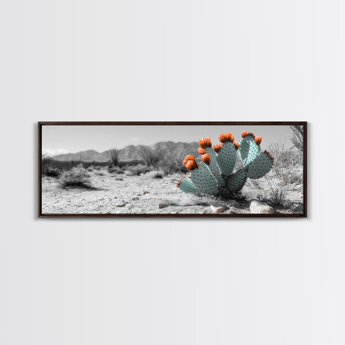 Cactus Garden, Desert Life, Orange Bloom, Nature Vibes, Framed Canvas Print, Rustic Wall Art, Boho Decor, Office Botanical Accent