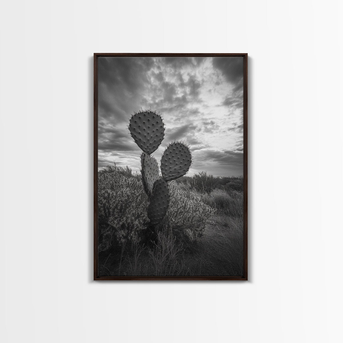 Prickly Pear, cactus art, Joshua tree art, wabi sabi art, moody art, black and white, framed canvas print, minimalist decor, rustic wall art