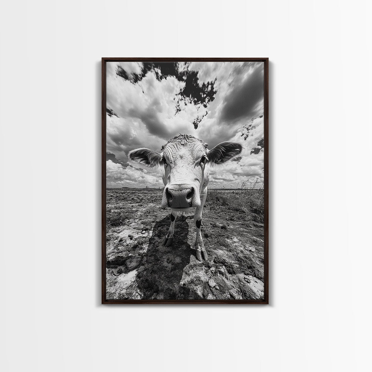 Rustic decor, vintage cow photography, framed canvas print, farmhouse art, black and white wall art, country aesthetic, moody art, southwest wall art