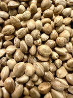 Ripkitty Premium Raw Viable Sprouts Organic Whole Hemp Seeds