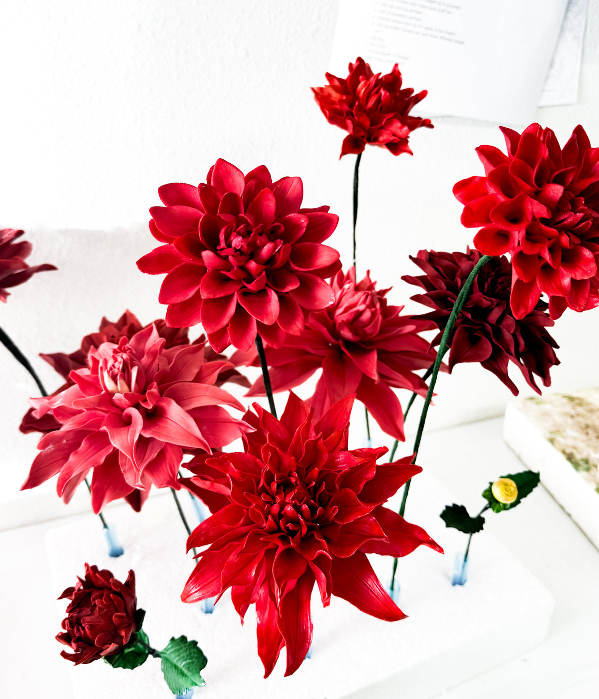 Large Red Dahlia