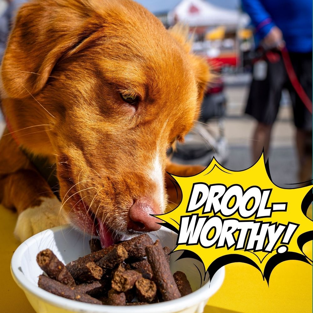 Birthday Dog Treats, 4-Pack
