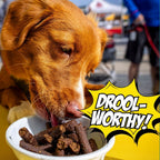 Birthday Dog Treats, 4-Pack