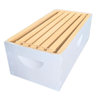 5-Frame Complete, Medium 6 5/8-inch Box with Frames and Foundation