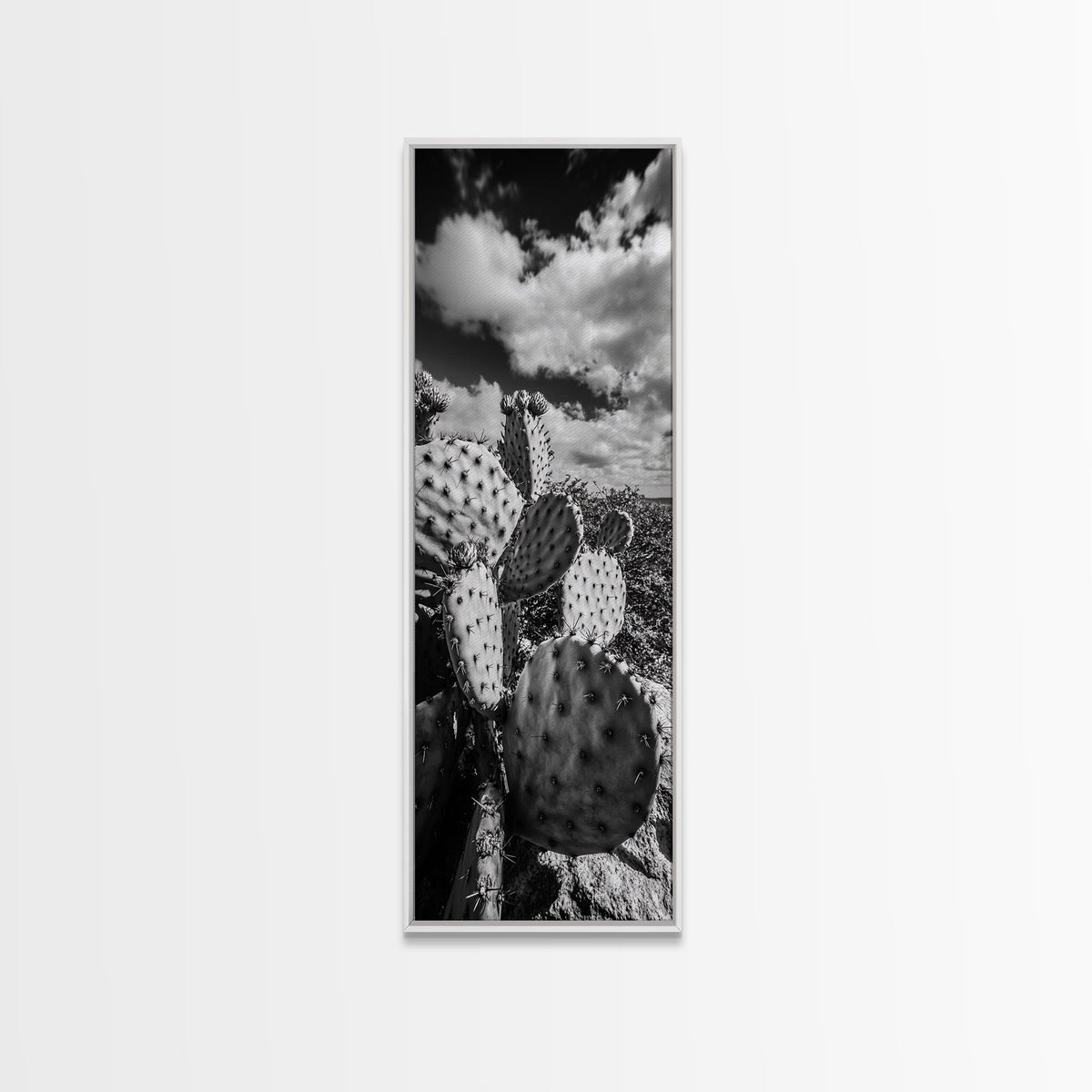 Desert Cactus Closeup, Prickly Pear Focus, Bold Nature Decor, Framed Canvas Print, Southwestern Kitchen Decor, Living Room Art