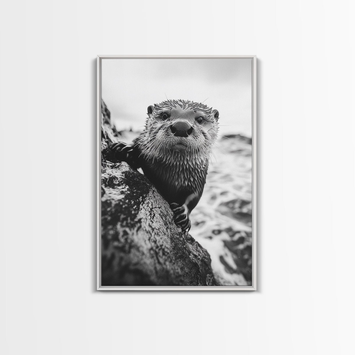 Curious Otter, Coastal Wildlife, Black and White, Animal Photography, Framed Canvas Print, Bathroom Wall Art, Nature Lover Gift