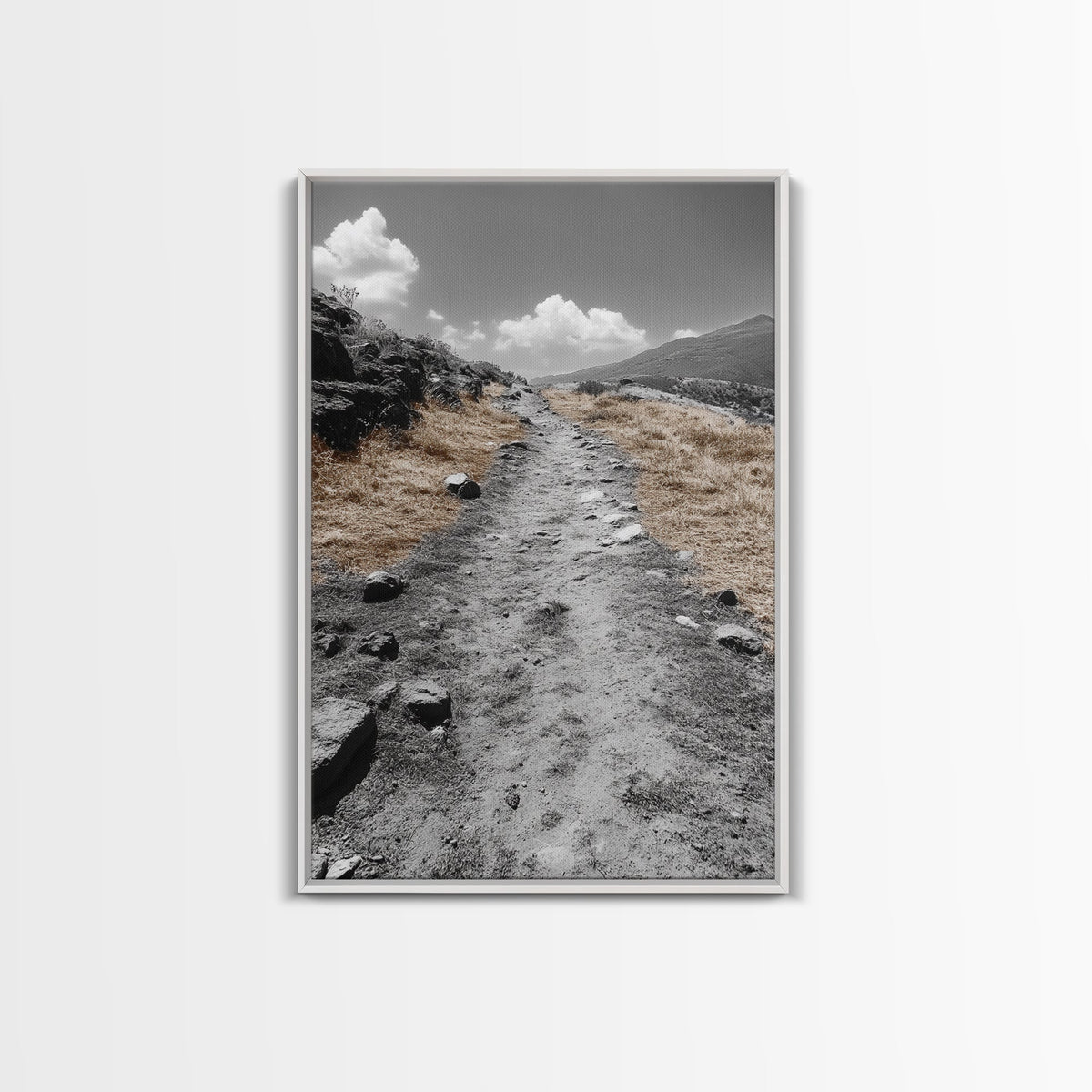 Desert Path, Solitude Trail, Nature Adventure, Canvas Print, Minimalist Landscape Wall Art, Entryway Rustic Decor, Fall Color Tones