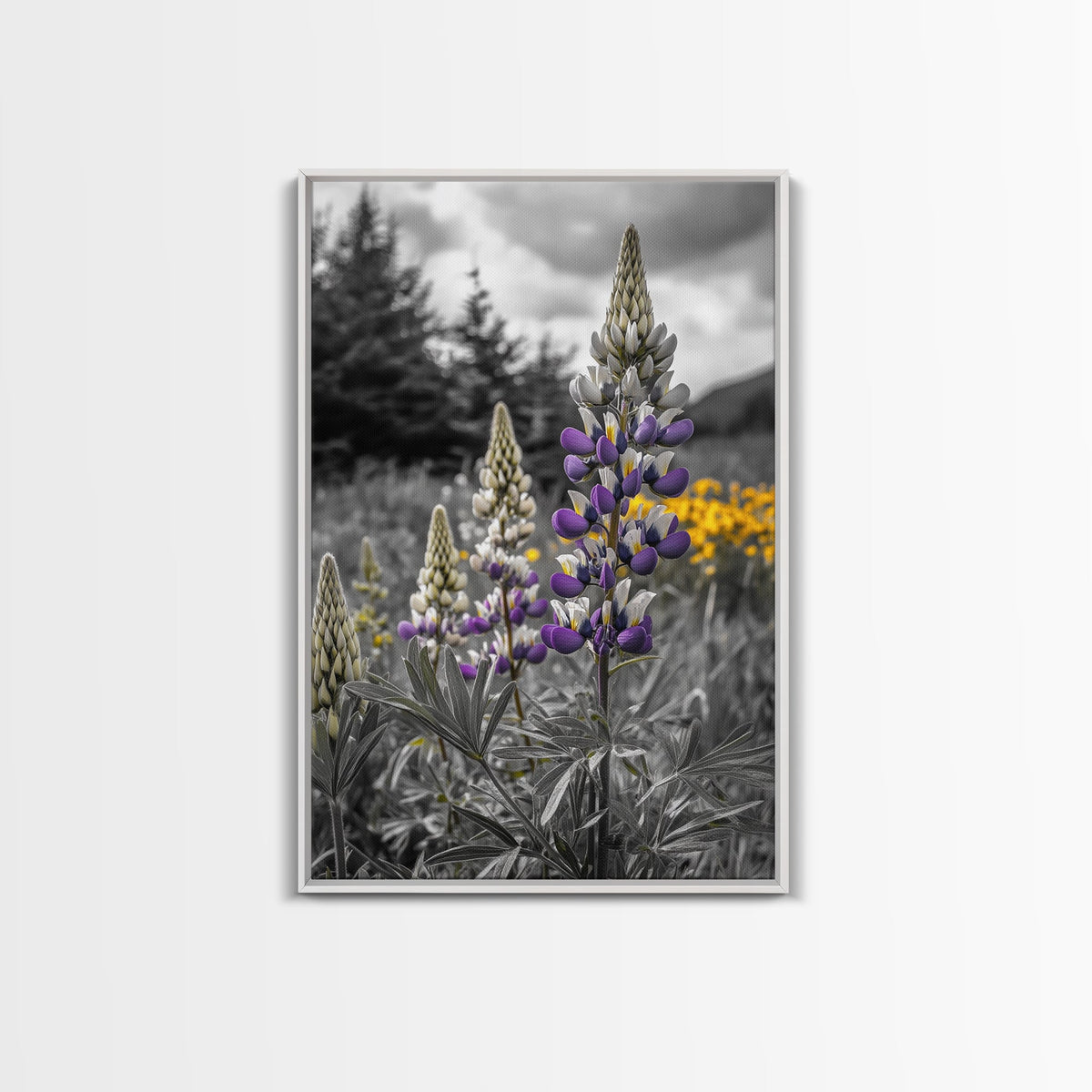 Purple Lupine Flowers, Wildflower Meadow Art, Country Botanical Print, Spring Nature Scene, Framed Canvas Print, Cottagecore Wall Art