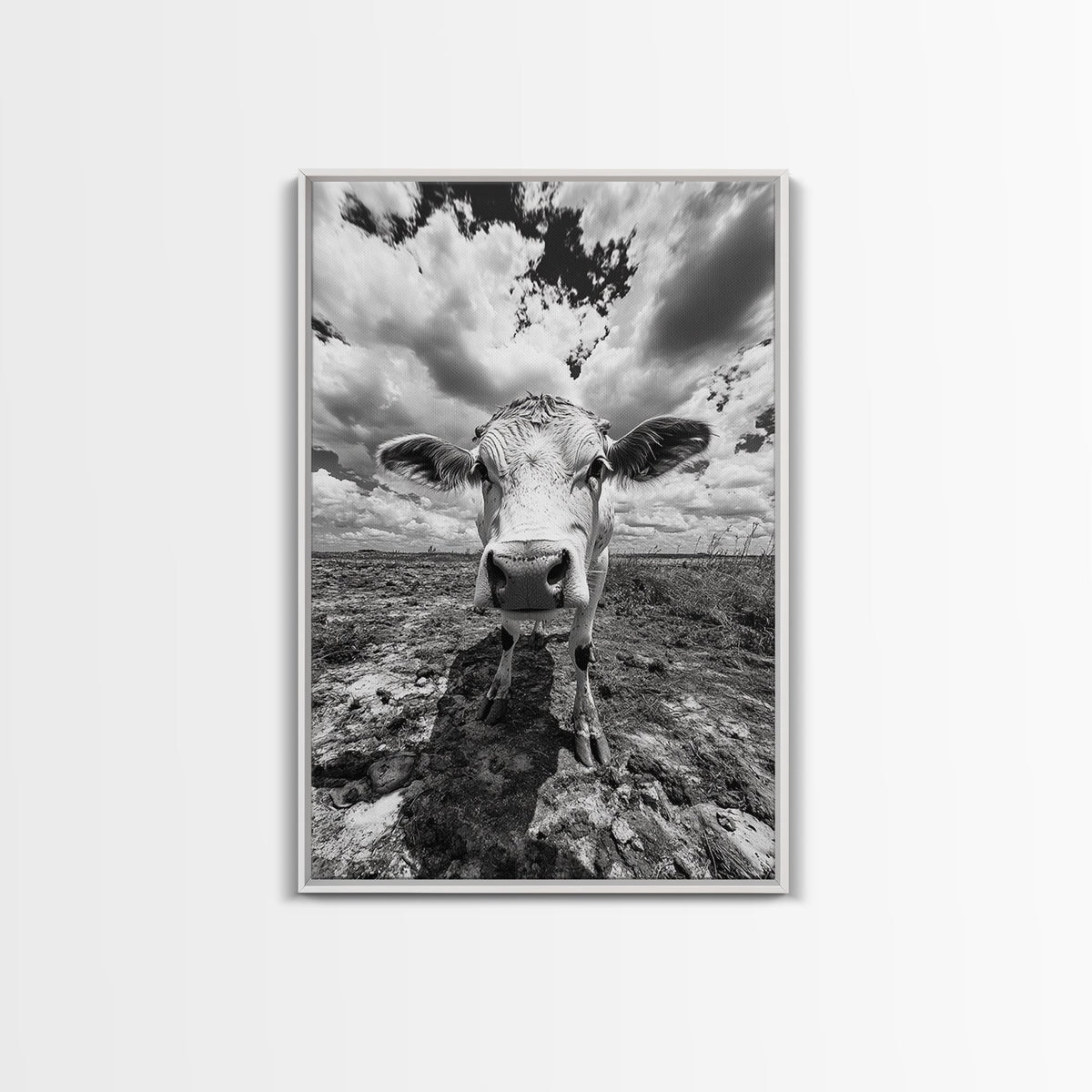Rustic decor, vintage cow photography, framed canvas print, farmhouse art, black and white wall art, country aesthetic, moody art, southwest wall art