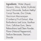 Spry Peppermint Xylitol Toothpaste (Case of 4)