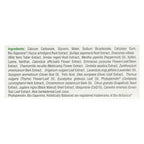 Nature's Answer Cool Mint Toothpaste, 4 oz