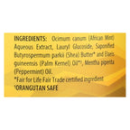 Alaffia African Black Soap with Peppermint (32 Fl Oz)