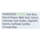 Spry Fresh Fruit Chewing Gum, 100 ct