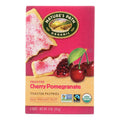 Nature's Path Organic Frosted Toaster Pastries, Cherry Pomegranate, 11 oz (Case of 12)