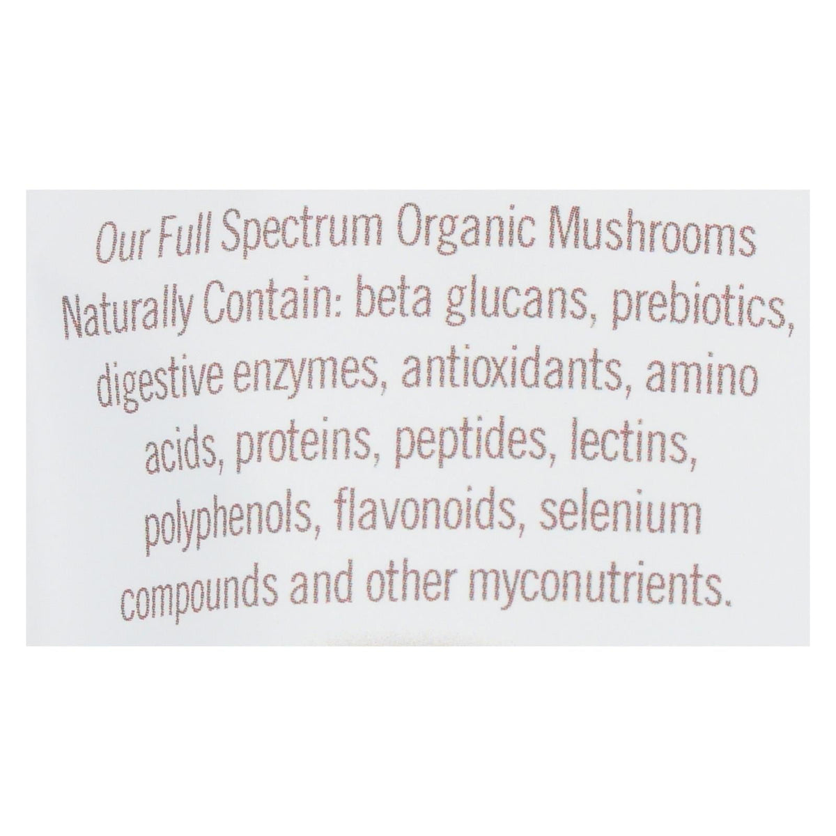 Om Chaga Organic Powder  - 100grm, 3.5 Oz.