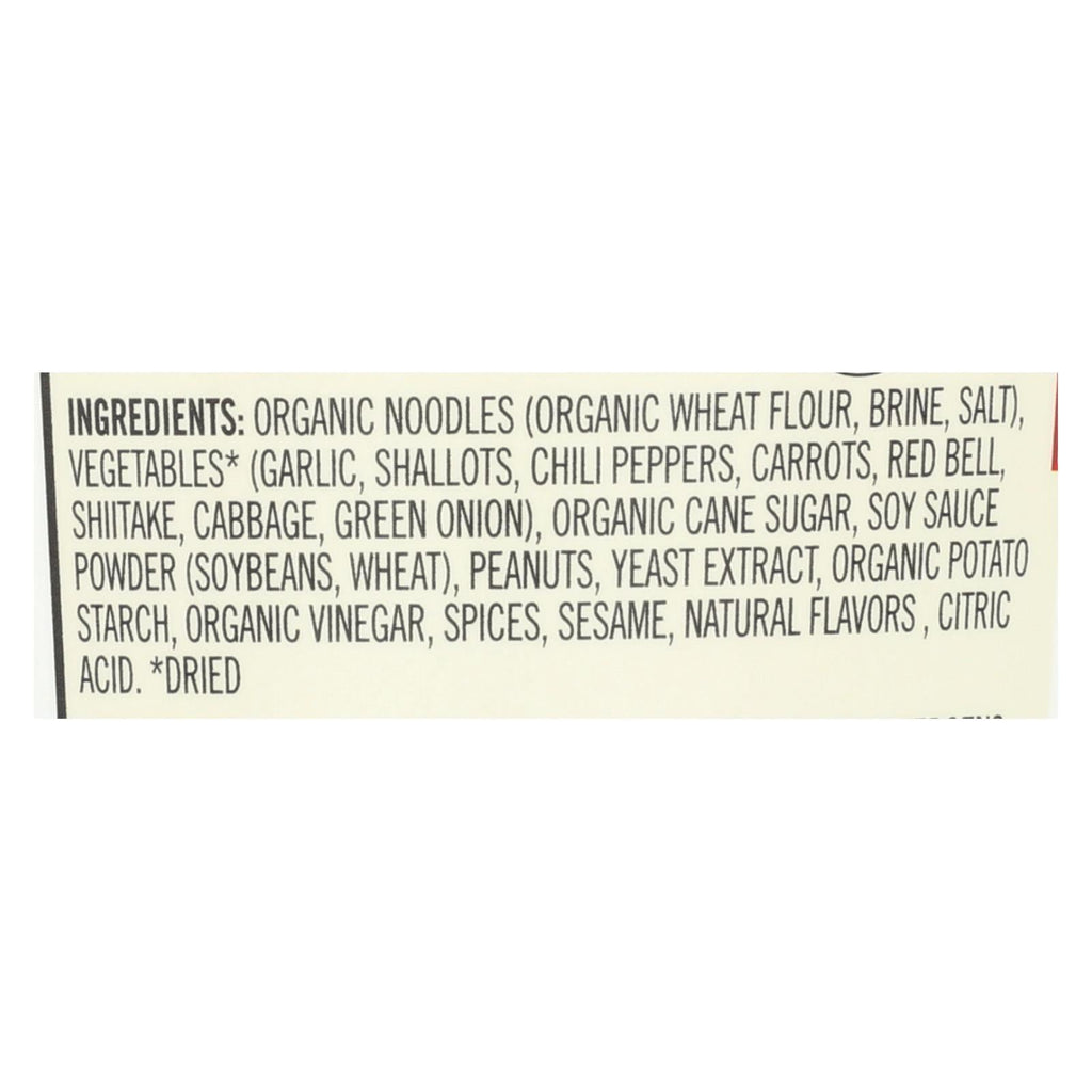Dr. McDougall's Spicy Kung Pao Asian Noodle Soup, 2 oz (Case of 6)