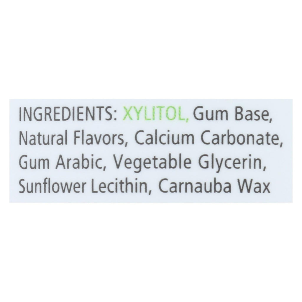 Spry Xylitol Chewing Gum, Cinnamon, 100 ct