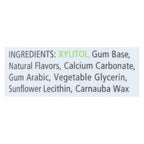 Spry Xylitol Chewing Gum, Cinnamon, 100 ct